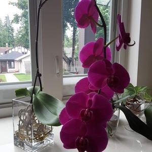 Meet your Posher, Delmy